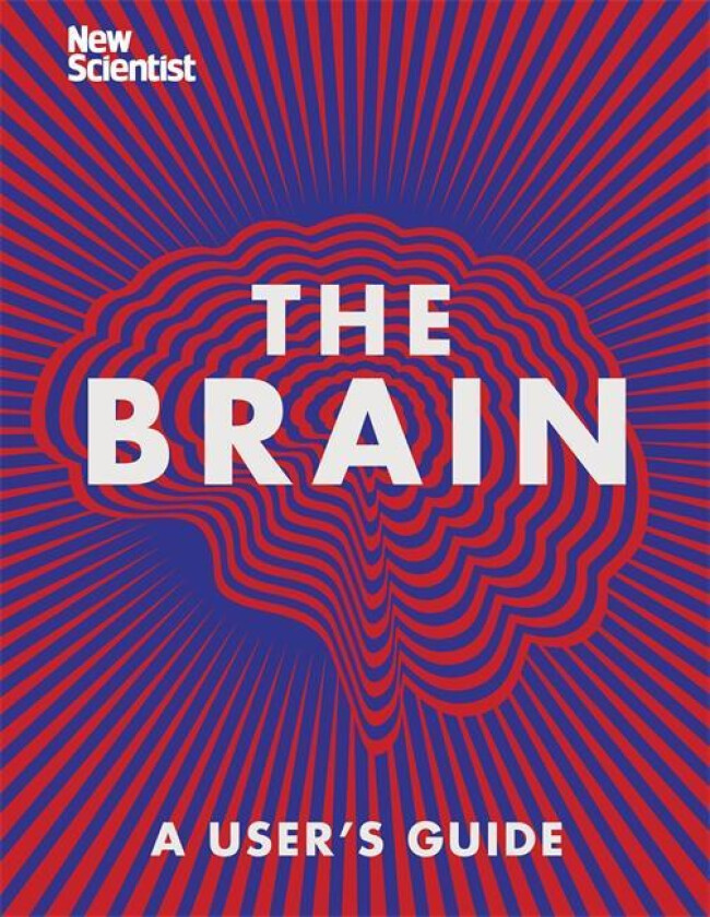 The Brain av New Scientist