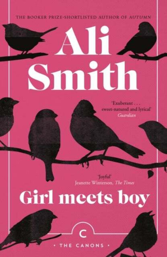 Girl Meets Boy av Ali Smith