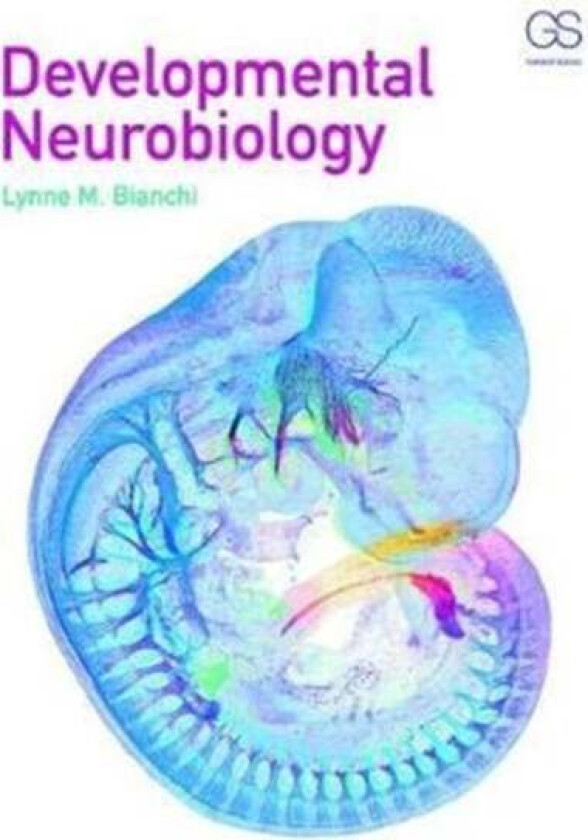 Developmental Neurobiology av Lynne (University of Pittsburgh Medical Center) Bianchi