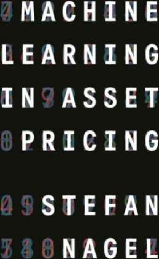 Machine Learning in Asset Pricing av Stefan Nagel