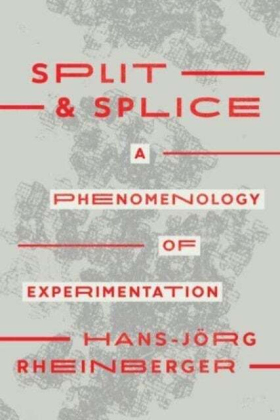 Split and Splice av Hans-Joerg Rheinberger