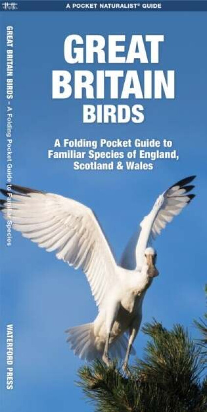 Great Britain Birds av James Kavanagh