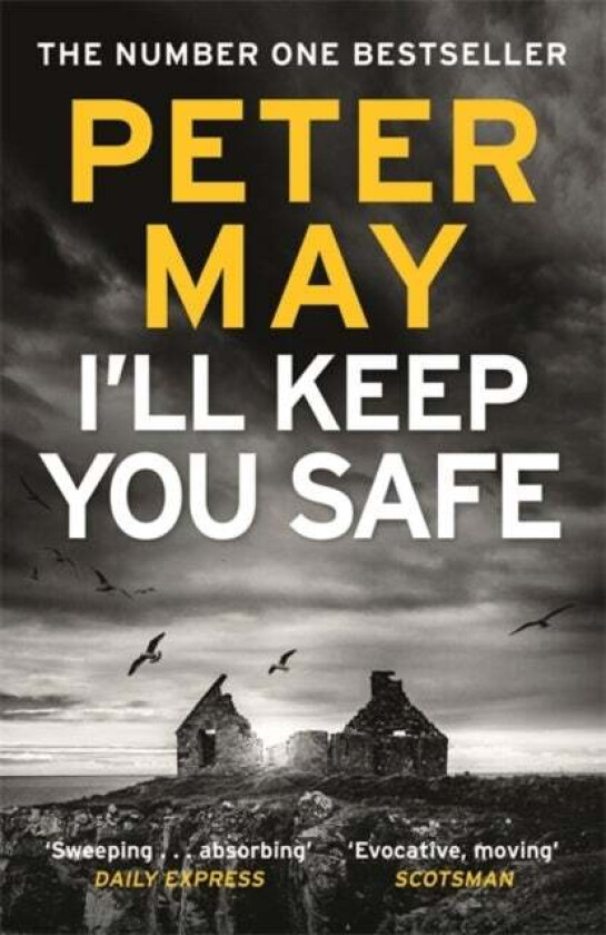 I'll keep you safe av Peter May