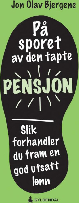 På sporet av den tapte pensjon av Jon Olav Bjergene