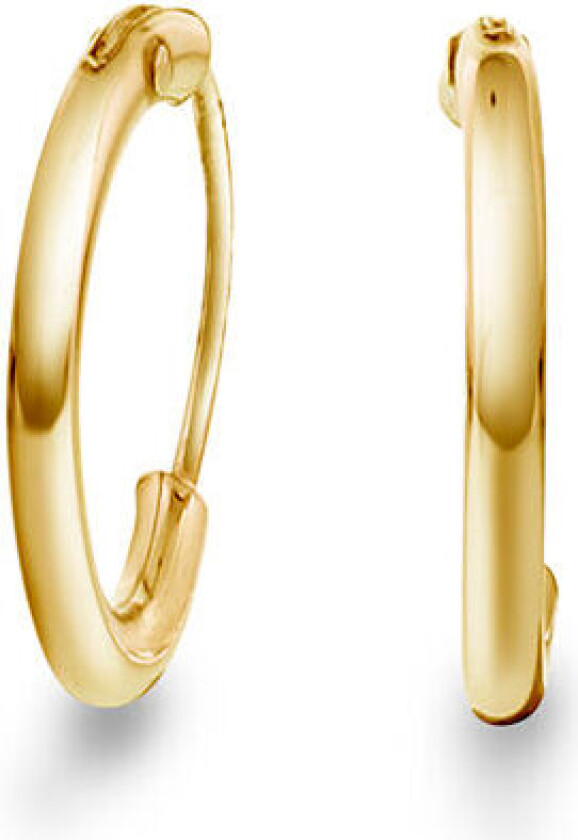 , Øreringer i forgylt 925 sølv