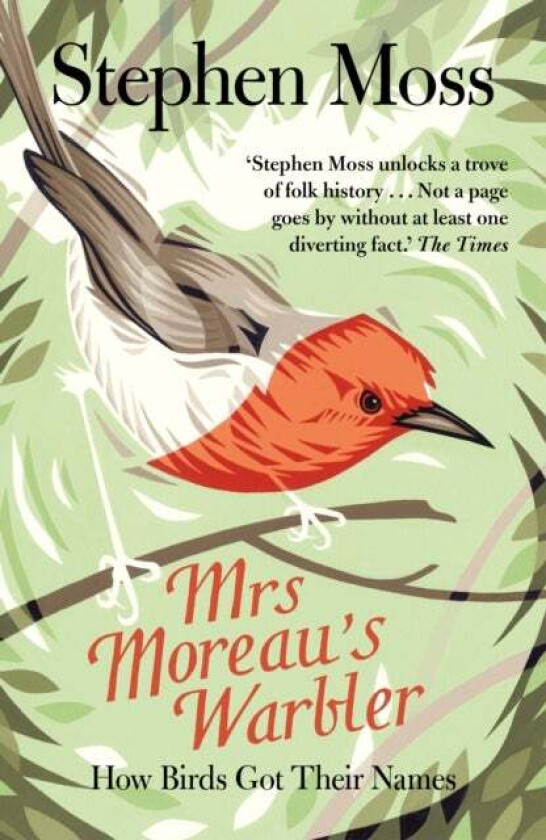 Mrs Moreau's Warbler av Stephen Moss