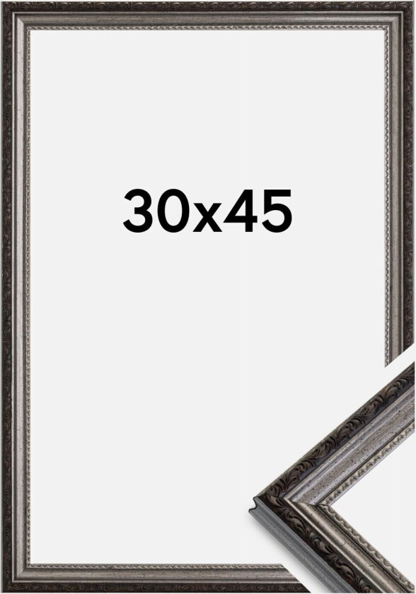 Ramme Abisko Akrylglass Sølv 30x45 Cm