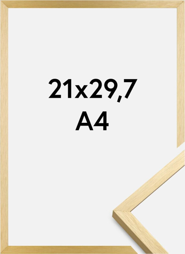 Ramme Chair Gull 21x29,7 Cm (A4)