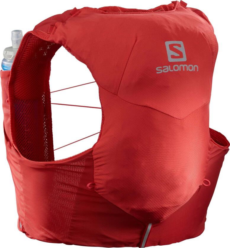 Adv Skin 5 With Flasks GOJI BERRY/EBONY M, GOJI BERRY/EBONY