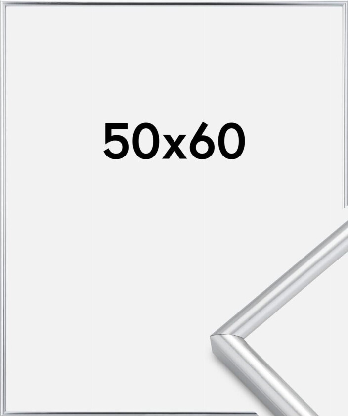 Ramme Galeria Sølv 50x60 Cm