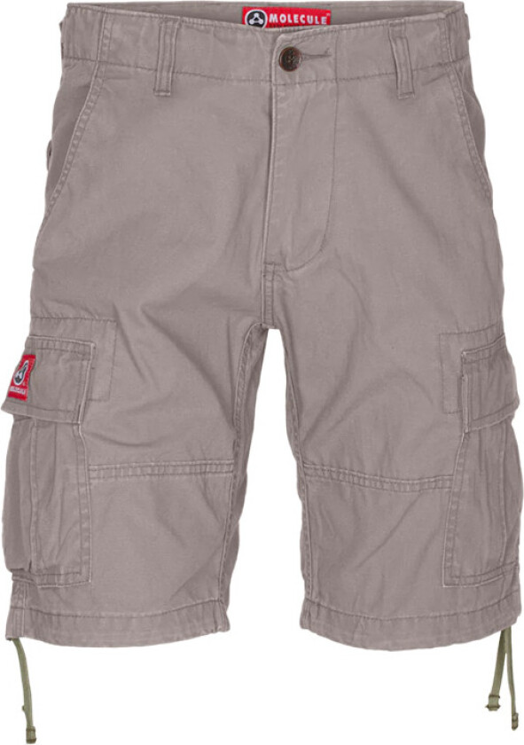Molecule Shortcuts Shorts (Above knee)-Grey-S