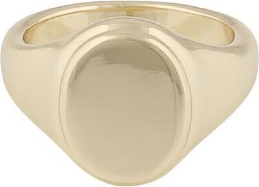 Snö Of Sweden Casual Kim Signet Ring Plain Gold S