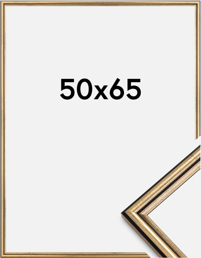 Ramme Horndal Akrylglass Gull 50x65 Cm
