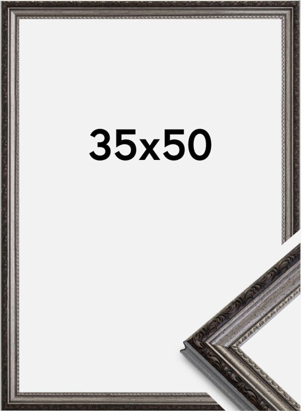 Ramme Abisko Sølv 35x50 Cm