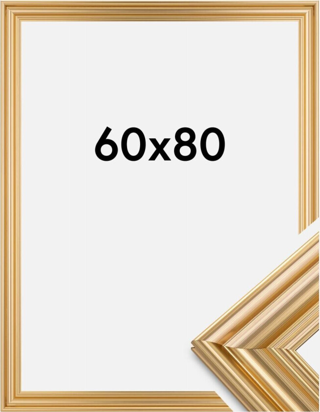 Focus Ramme Charleston Gull 60x80 Cm