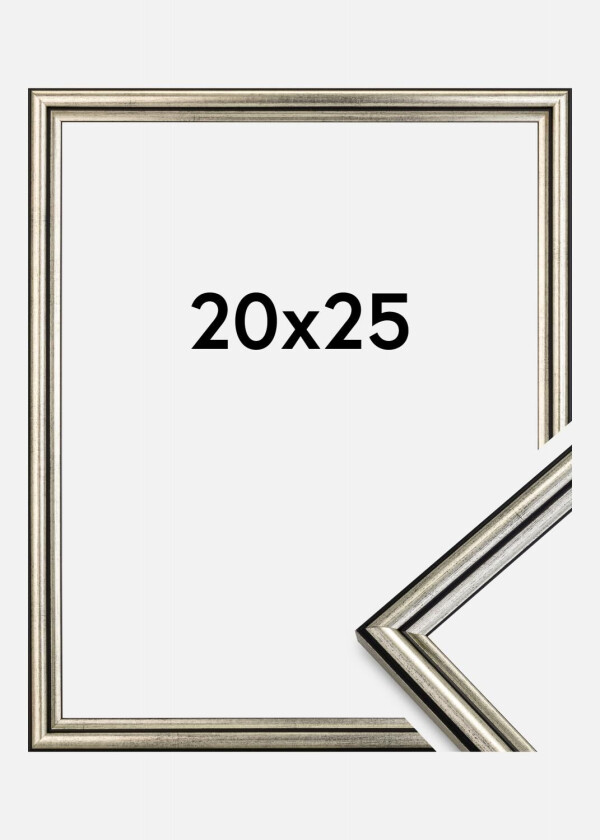 Ramme Horndal Akrylglass Sølv 20x25 Cm