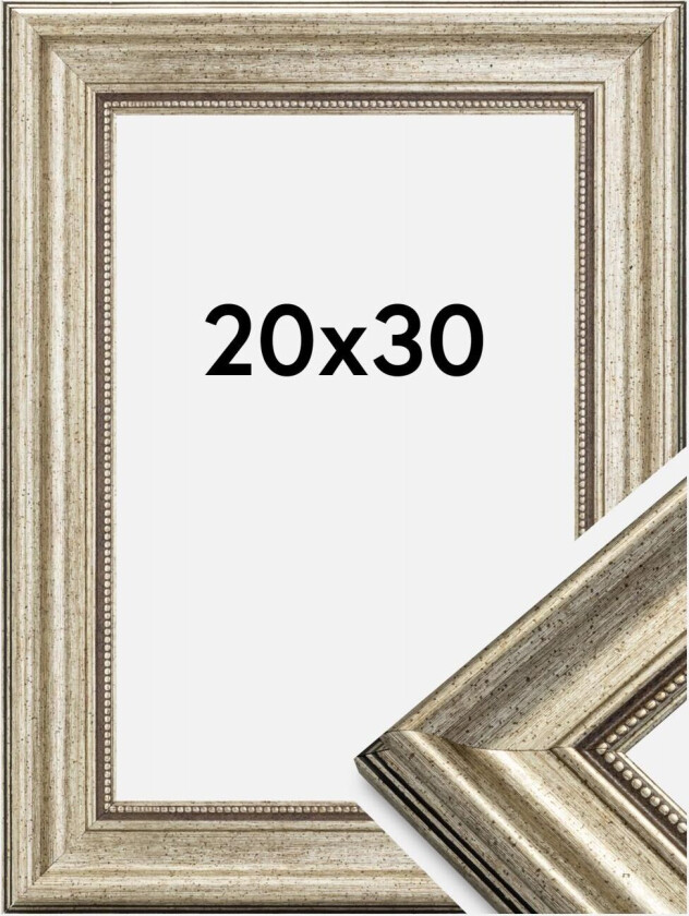 Ramme Rokoko Sølv 20x30 Cm