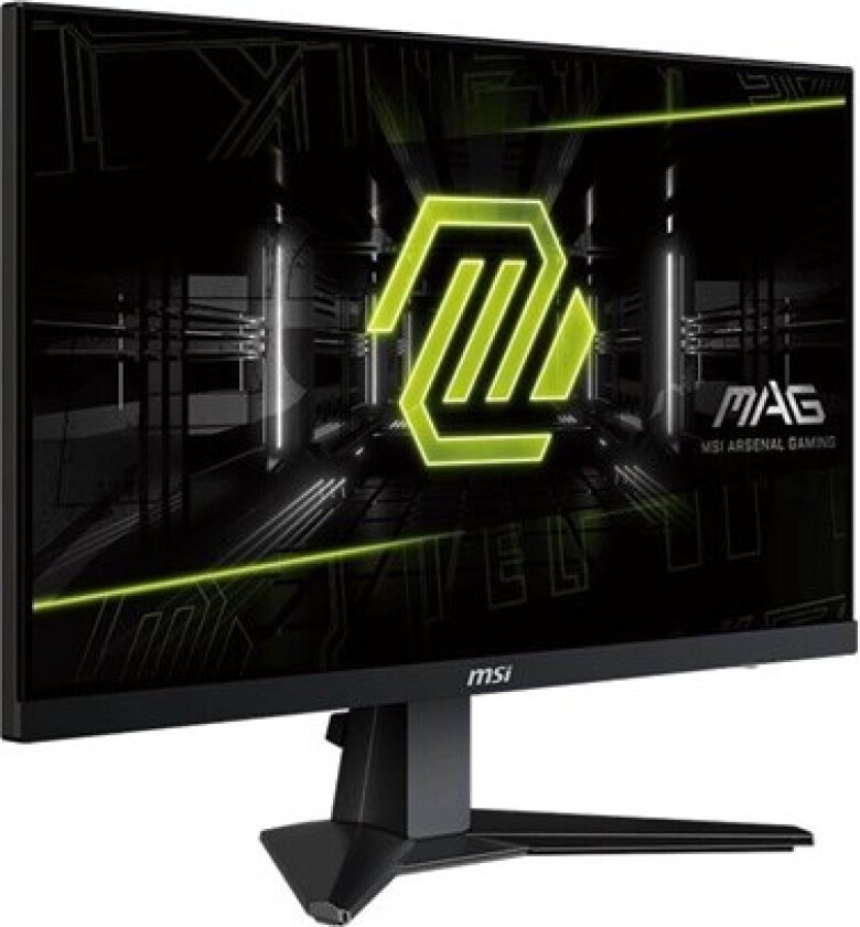 25" MSI MAG 256F - LCD monitor - Full HD (1080p) - 25" - HDR