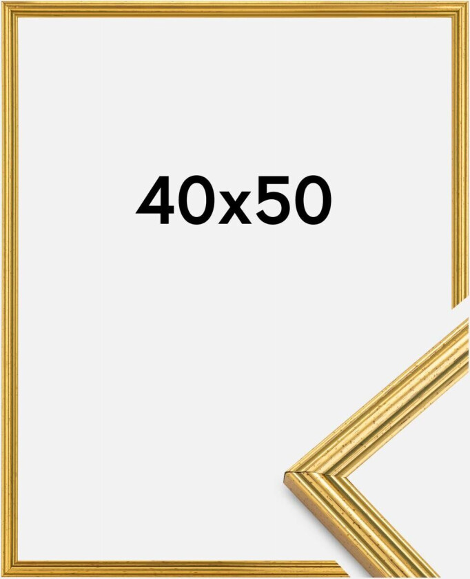 Ramme Classic Gull 40x50 Cm