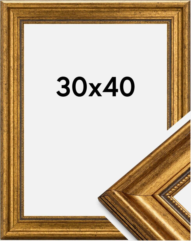 Ramme Rokoko Gull 30x40 Cm
