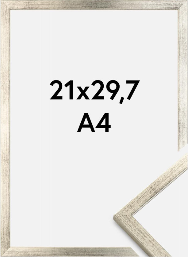 Ramme Galant Sølv 21x29,7 Cm (A4)