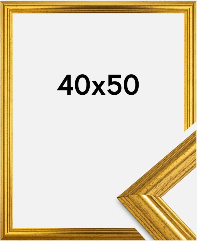 Ramme Västkusten Akrylglass Gull 40x50 Cm