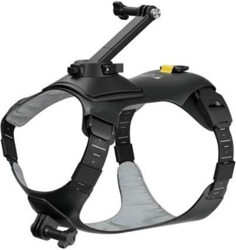 GO 3/GO 3S Pet Harness Mount Size M