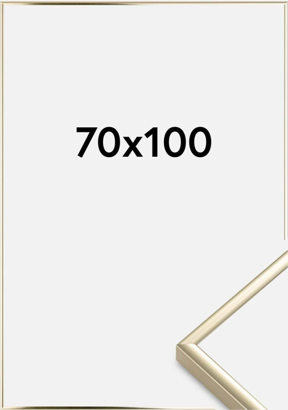 Bilde av Ramme Aluminium Akrylglass Blank Gull 70x100 Cm