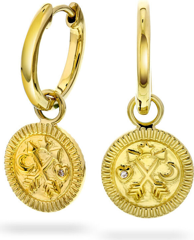 , Øreringer i 925 forgylt sølv med zirkonia