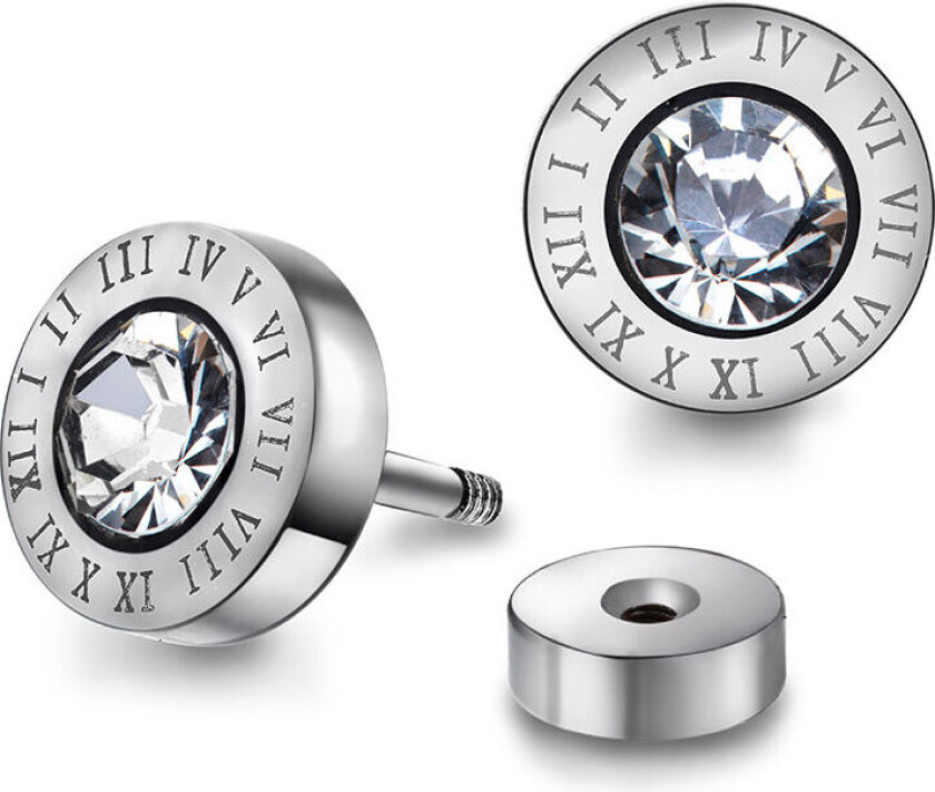 , Øredobber i stål med zirkonia