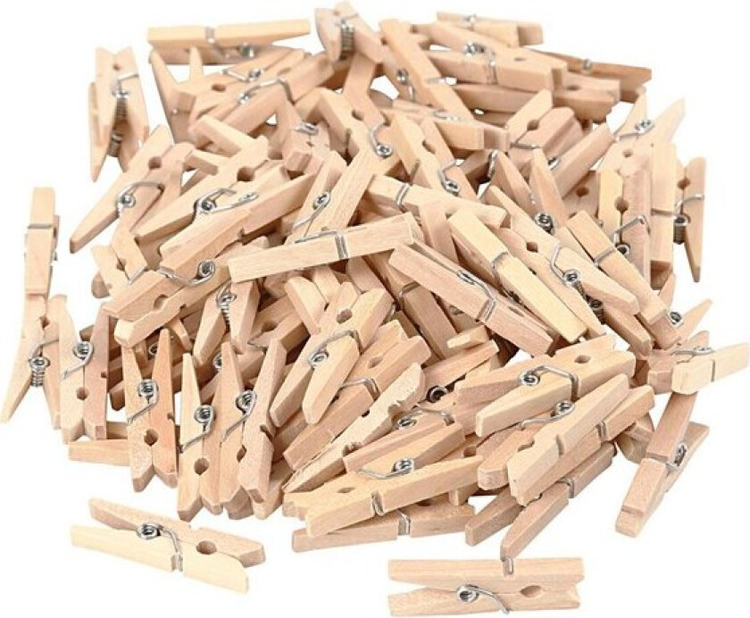 Mini Clothespins 100pcs.