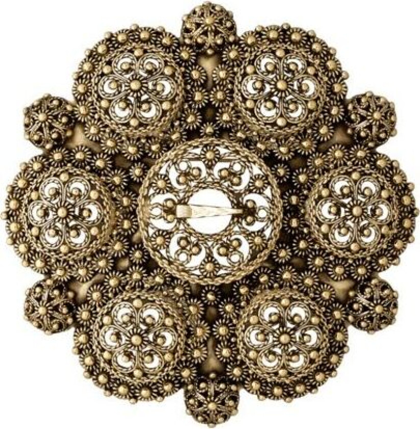 Bilde av Bolesølje Telemark i 830 antikkforgylt sølv