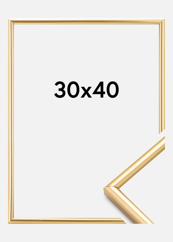 Ramme Decoline Gull 30x40 Cm