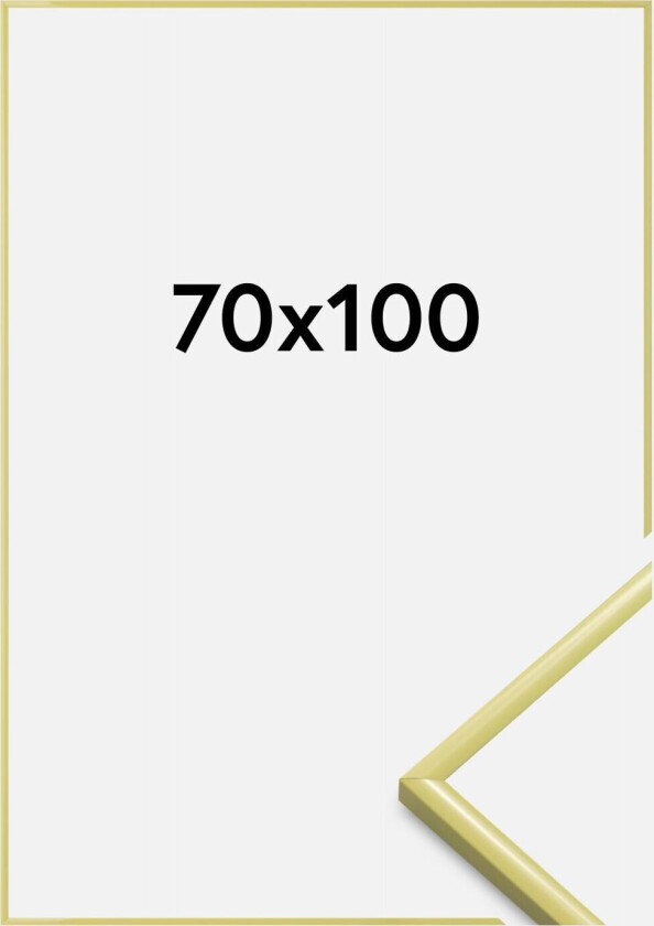 Ramme New Lifestyle Akrylglass Lysegul 70x100 Cm