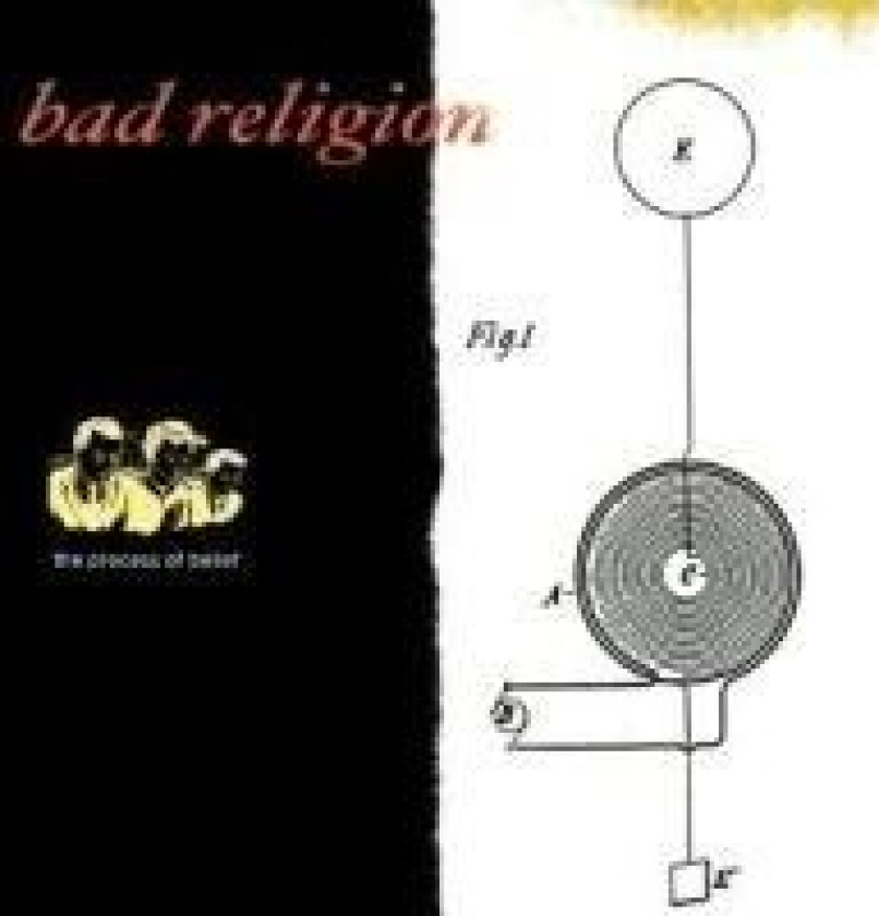 Bad Religion : The Process of Belief CD (2009)