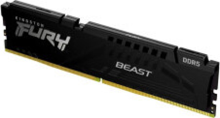 FURY Beast DDR5-5200 C36 SC - 16GB (AMD EXPO)