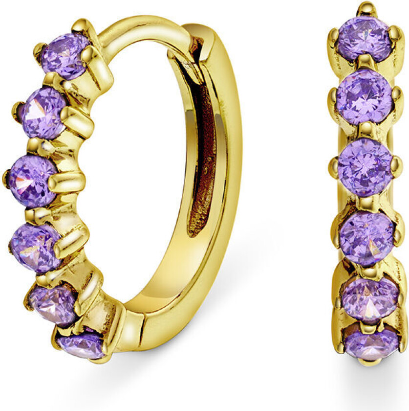 , Øreringer i forgylt sølv med lilla zirkonia