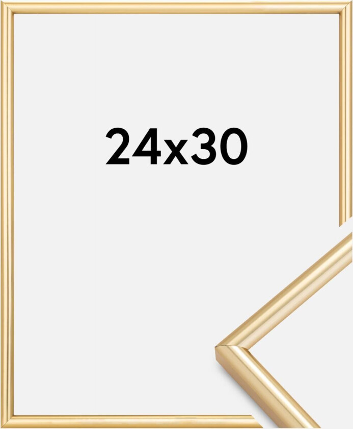 Ramme Galeria Gull 24x30 Cm