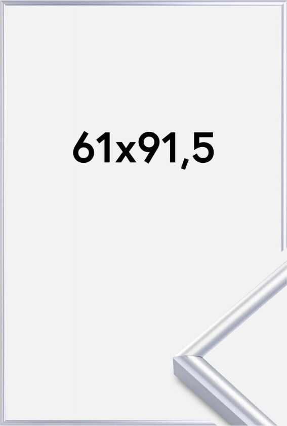 Bilde av Ramme Victoria Akrylglass Sølv 61x91,5 Cm