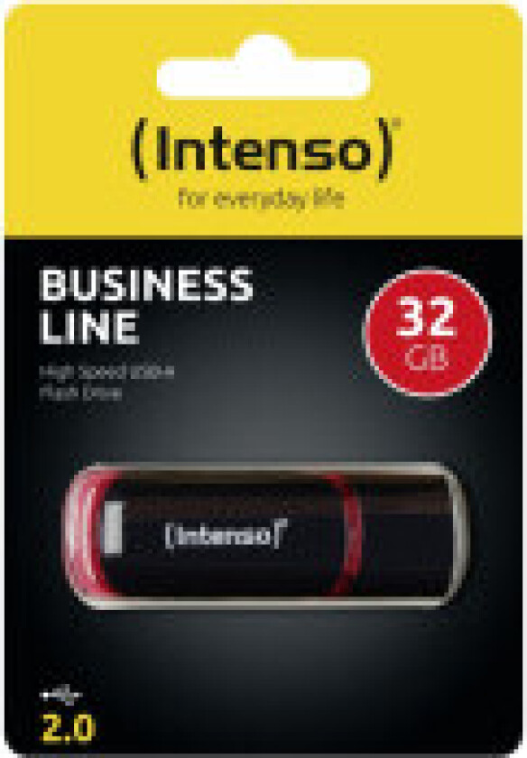 Business Line - 32GB - Minnepenn