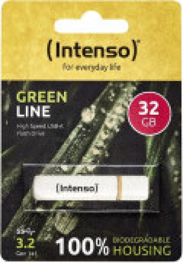 Green Line - USB flash drive - 32 GB - Beige / Brown - 32GB - Minnepenn