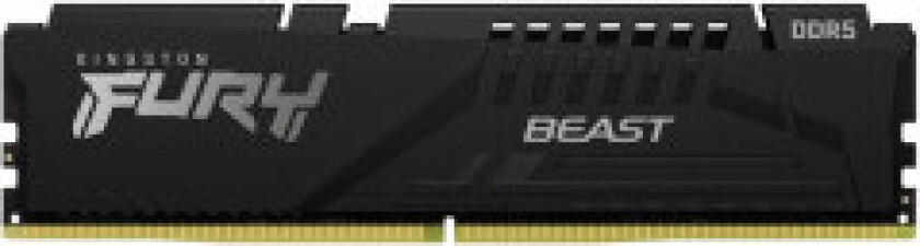 FURY Beast DDR5-6000 C36 SC - 8GB (AMD EXPO)