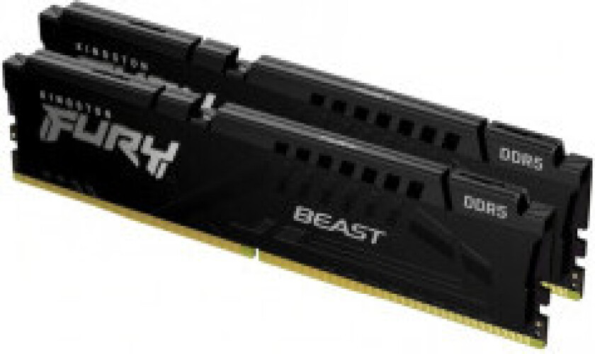 FURY Beast DDR5-5600 C36 DC - 16GB (AMD EXPO)