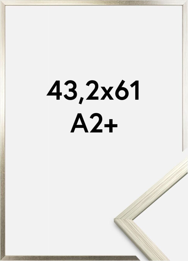 Ramme Edsbyn Akrylglass Sølv 43,2x61 Cm (A2+)