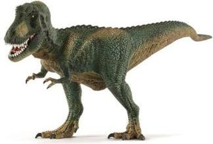 Tyrannosaurus rex