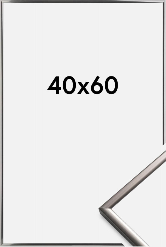 Ramme New Lifestyle Stål - 40x60 Cm