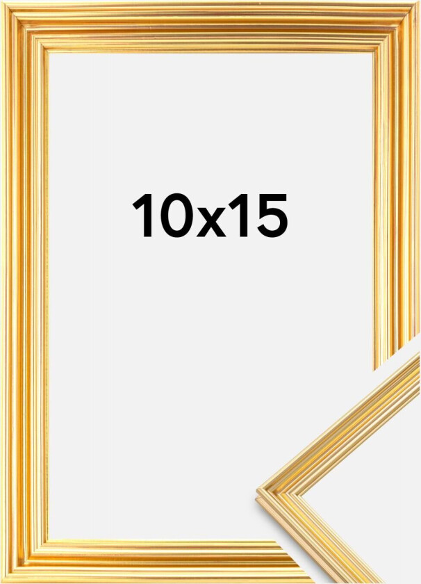 Focus Ramme Verona Gull 10x15 Cm
