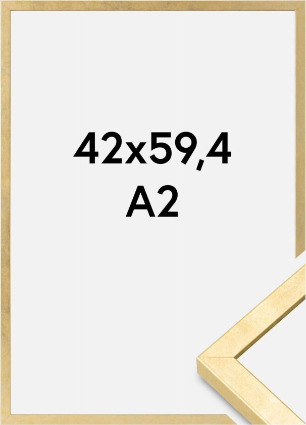 Ramme Ares Akrylglass Gull 42x59,4 Cm (A2)