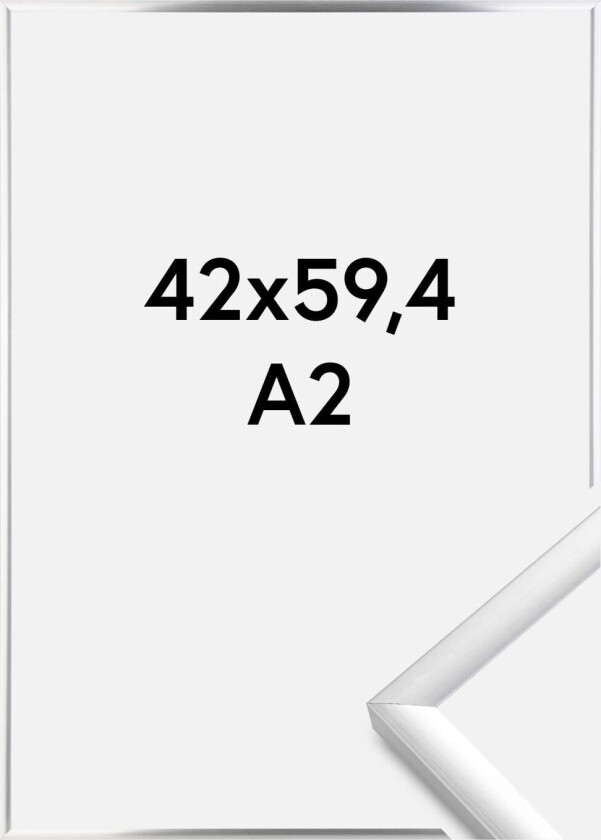 Ramme New Lifestyle Sølv 42x59,4 Cm (A2)