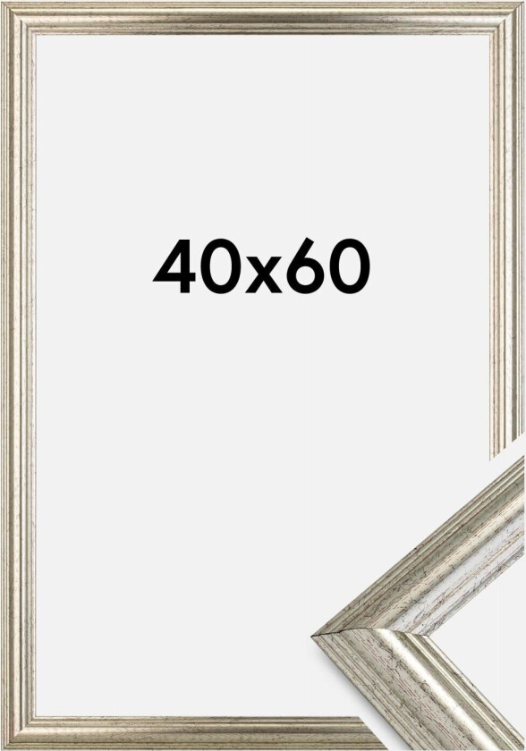 Ramme Västkusten Sølv 40x60 Cm